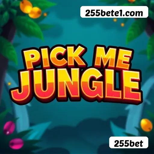 255bet - cassino ao vivo